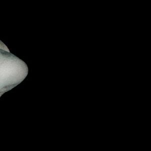 Foto American Horror Story