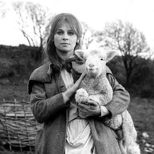 Foto Lejos del mundanal ruido