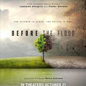 Foto Before the Flood