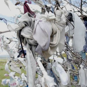 Foto Telas en las ramas