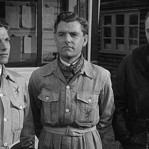 Foto Reach for the Sky