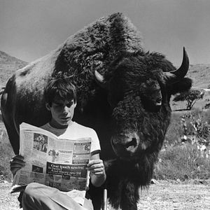 Foto Bendice a los animales y a los niños