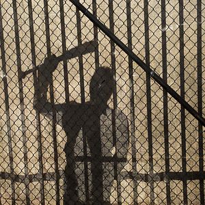 Foto The Walking Dead