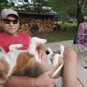 Foto Lo And Behold, Reveries Of The Connected World