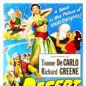 Foto El halcón del desierto