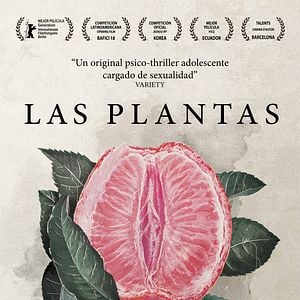 Foto Las Plantas