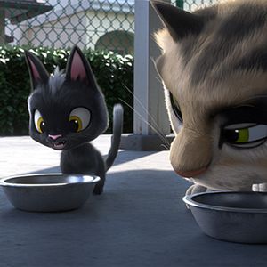 Foto Gatos. Un viaje de vuelta a casa