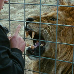 Foto Mister Universo