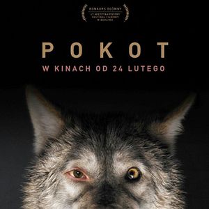 Foto Spoor (El rastro)