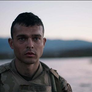 Foto The Yellow Birds