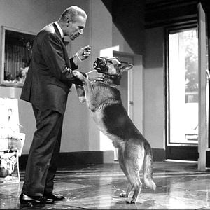 Los crímenes del Dr. Mabuse - Película 1960