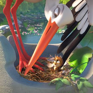 Foto Richard, la cigüeña