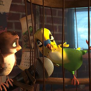 Foto Richard, la cigüeña