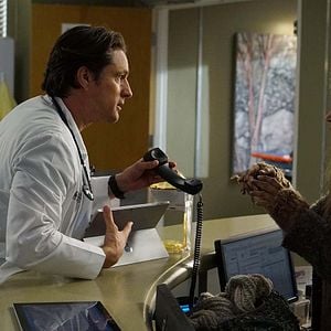 Foto Anatomía de Grey