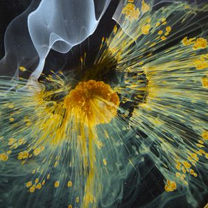 Foto Voyage of Time: Life's Journey