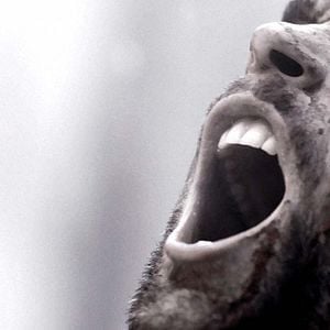 Foto La espada de la venganza