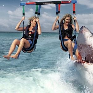 Foto Mandíbulas letales