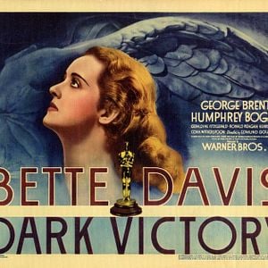 Foto Amarga victoria