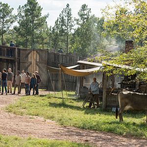 Foto The Walking Dead