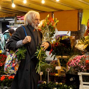 Foto En lugar del Sr. Stein