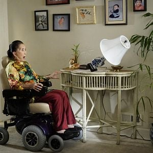 Foto Recién llegados