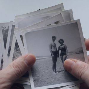 Foto Los pájaros no tienen vértigo