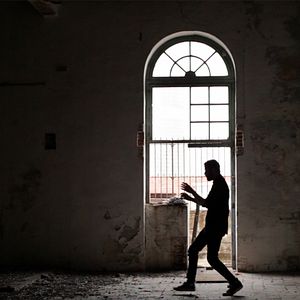 Foto Los pájaros no tienen vértigo