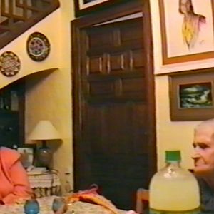 Foto Los pájaros no tienen vértigo