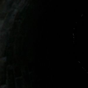 Foto Los pájaros no tienen vértigo