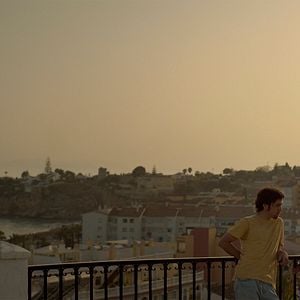 Foto Los Amores cobardes