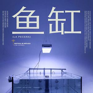 Foto Yu Gang (La pecera)