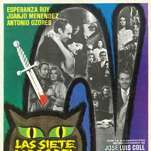 Foto Las siete vidas del gato