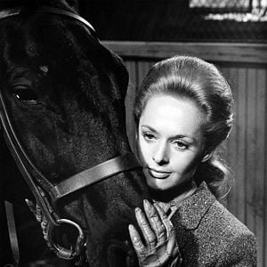 Foto Marnie, la ladrona