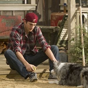 Foto Ashton Kutcher