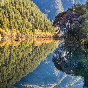 Foto Nacidos en China