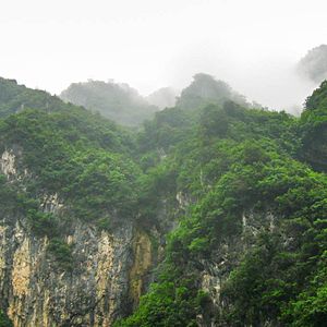 Foto Nacidos en China