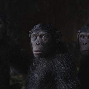 Foto La guerra del Planeta de los Simios