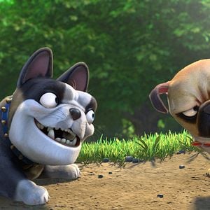 Foto Operación Cacahuete 2. Misión: Salvar el parque