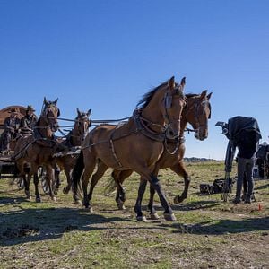 Foto Parada en el infierno (Stop Over in Hell)