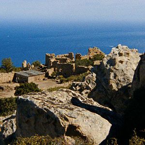 Foto Laissez bronzer les cadavres