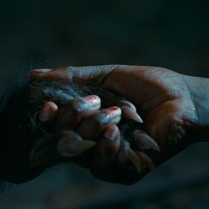 Foto Los buenos modales