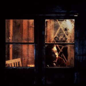 Foto Mi vida como un perro