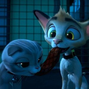 Foto Gatos. Un viaje de vuelta a casa