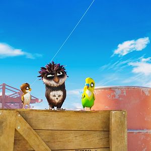 Foto Richard, la cigüeña