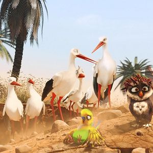 Foto Richard, la cigüeña