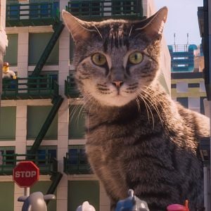 Foto La Lego Ninjago película