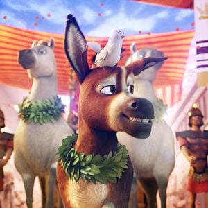 Foto Se armó el Belén