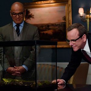 Foto Sucesor designado