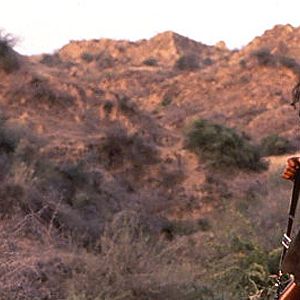 Foto La reina de los bandidos