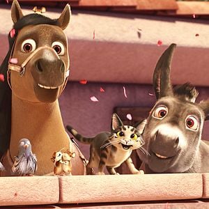 Foto Se armó el Belén